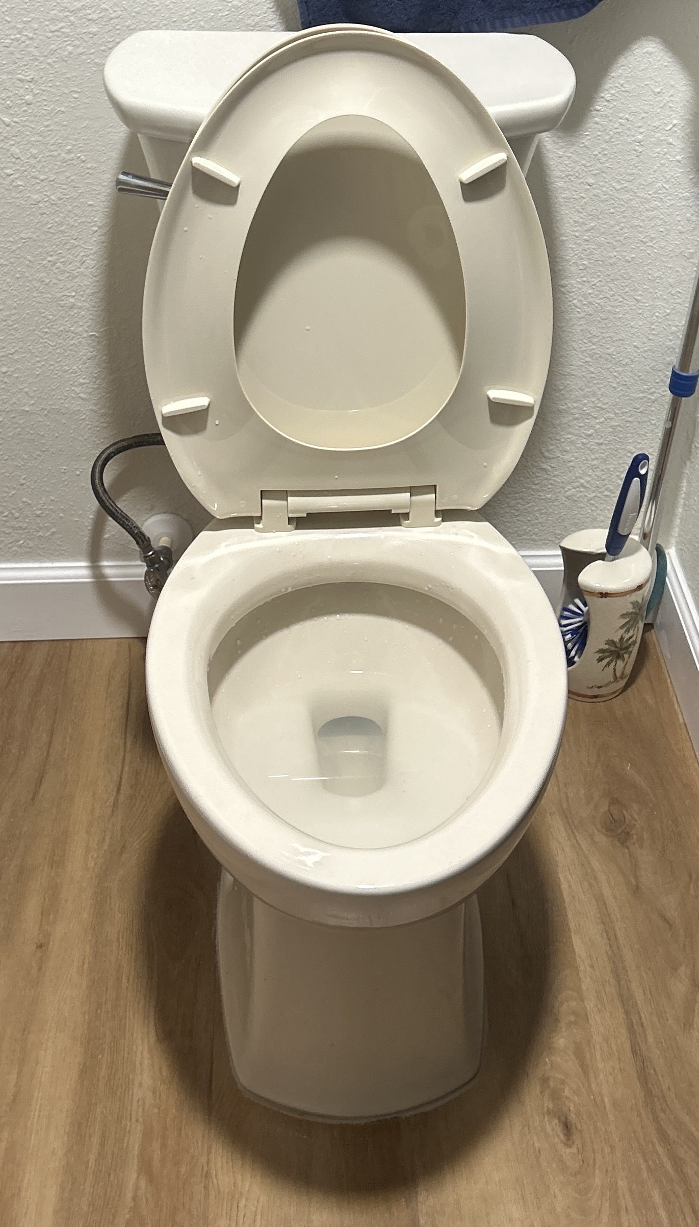 Toilet Install